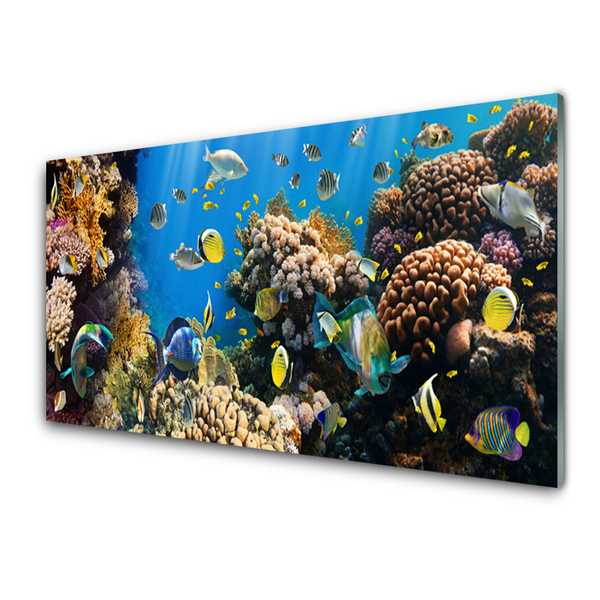 Glass Print Coral reef nature multi