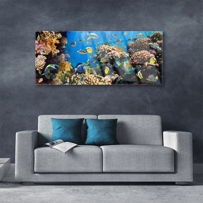 Glass Print Coral reef nature multi