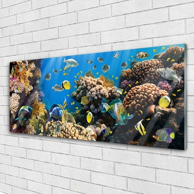 Glass Print Coral reef nature multi