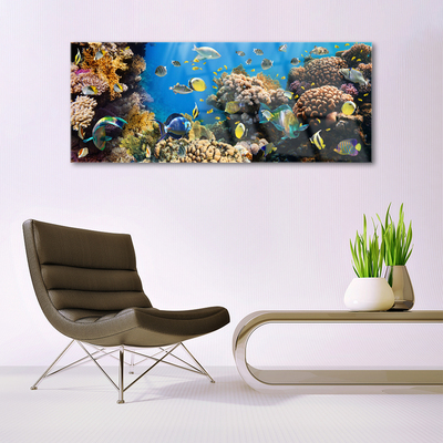 Glass Print Coral reef nature multi