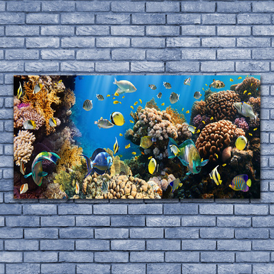 Glass Print Coral reef nature multi