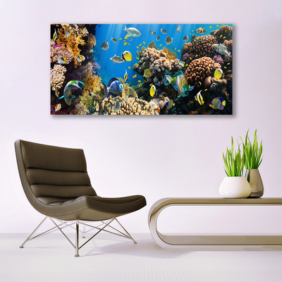 Glass Print Coral reef nature multi