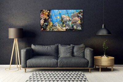 Glass Print Coral reef nature multi