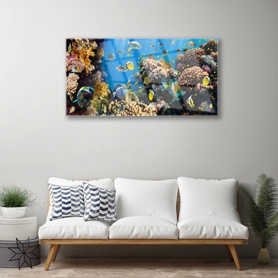 Glass Print Coral reef nature multi