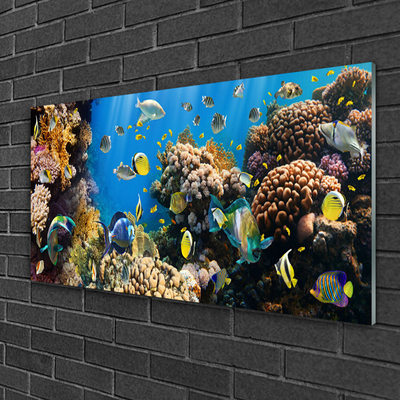 Glass Print Coral reef nature multi