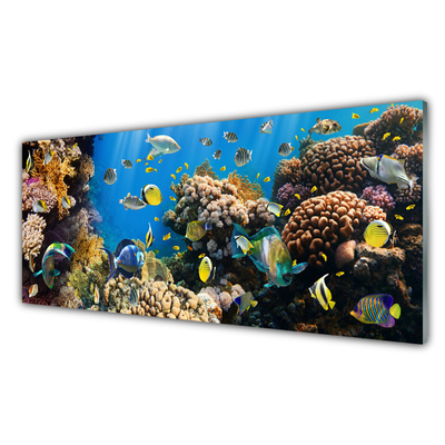 Glass Print Coral reef nature multi