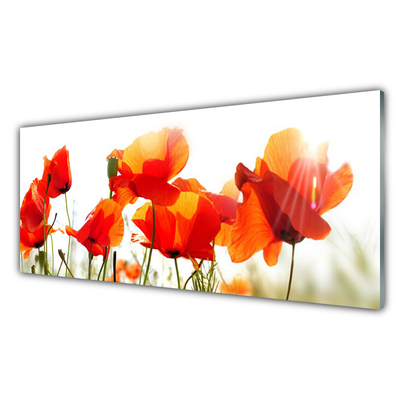 Glass Print Poppies floral red yellow