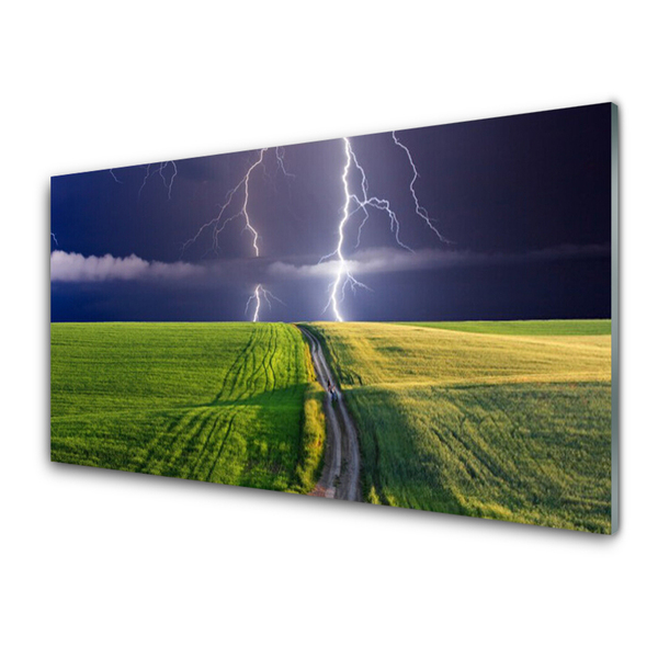 Glass Print Field path lightning landscape grey green purple white