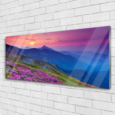 Glass Print Mountains meadow flowers landscape blue pink green yellow