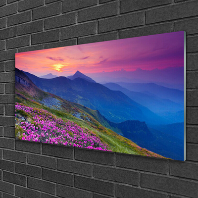 Glass Print Mountains meadow flowers landscape blue pink green yellow
