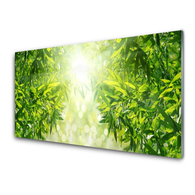 Glass Print Leaves nature green