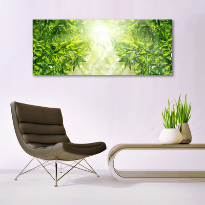 Glass Print Leaves nature green