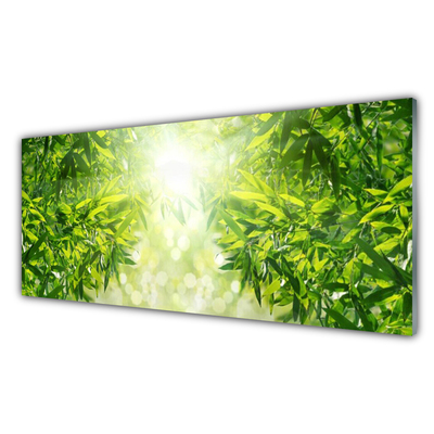 Glass Print Leaves nature green