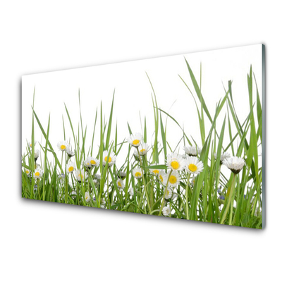 Glass Print Grass daisies nature green white yellow