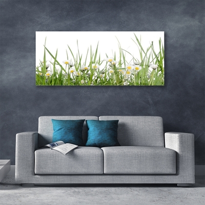 Glass Print Grass daisies nature green white yellow