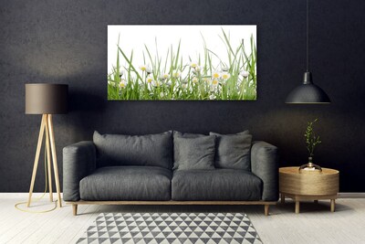 Glass Print Grass daisies nature green white yellow