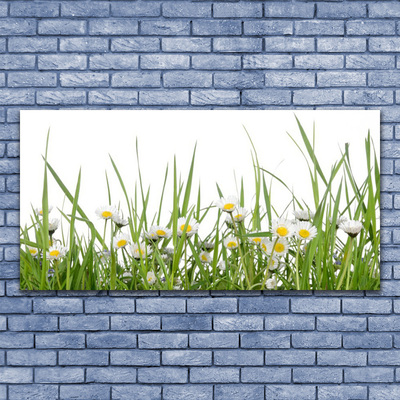 Glass Print Grass daisies nature green white yellow