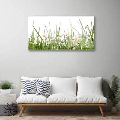 Glass Print Grass daisies nature green white yellow