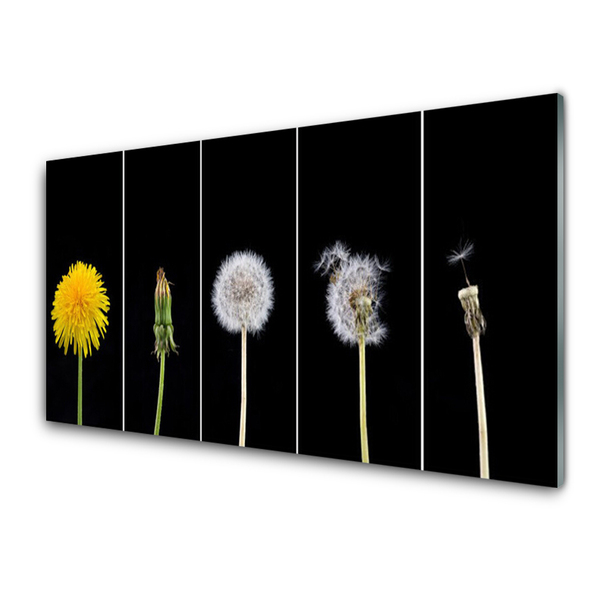 Glass Print Dandelion seed head floral yellow green white