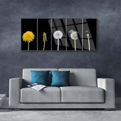 Glass Print Dandelion seed head floral yellow green white