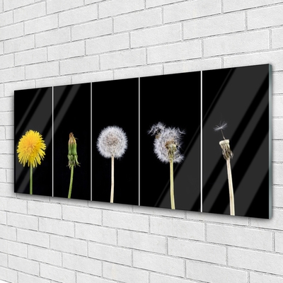 Glass Print Dandelion seed head floral yellow green white