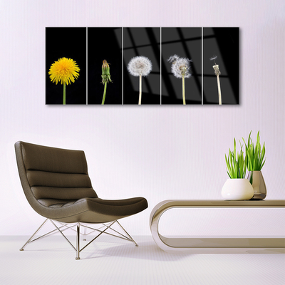 Glass Print Dandelion seed head floral yellow green white