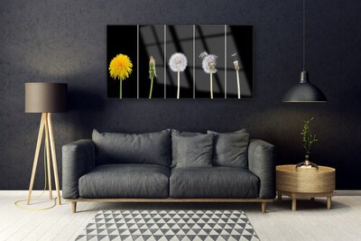 Glass Print Dandelion seed head floral yellow green white