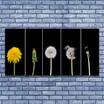 Glass Print Dandelion seed head floral yellow green white