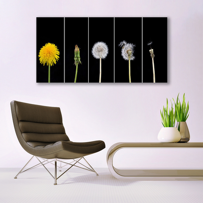 Glass Print Dandelion seed head floral yellow green white