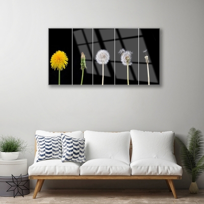 Glass Print Dandelion seed head floral yellow green white