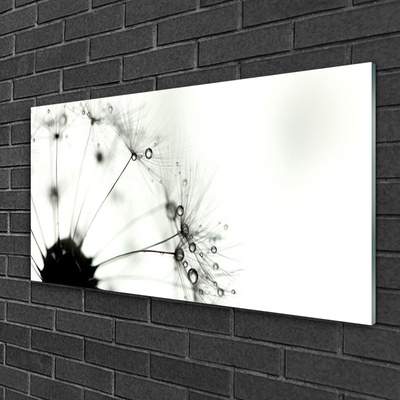 Glass Print Dandelion floral grey black