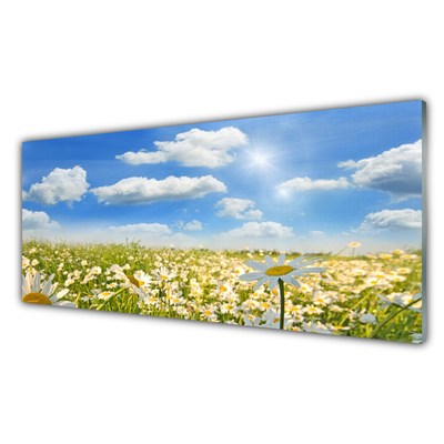 Glass Print Meadow daisies nature green blue white