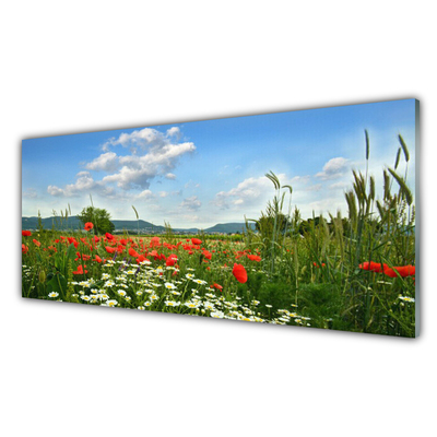 Glass Wall Art Meadow flowers nature green red white