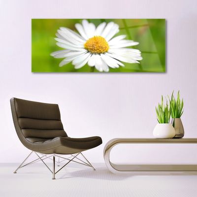 Glass Wall Art Daisy floral yellow white