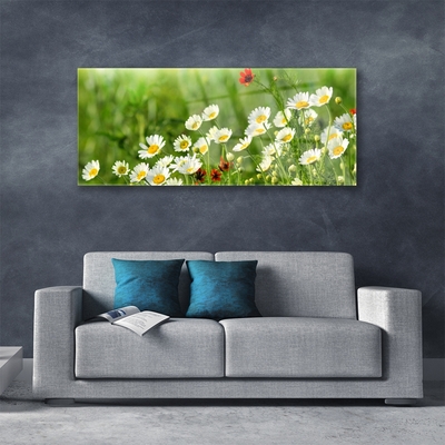 Glass Wall Art Daisy nature yellow white