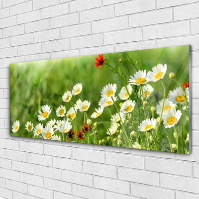 Glass Wall Art Daisy nature yellow white