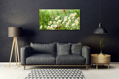 Glass Wall Art Daisy nature yellow white