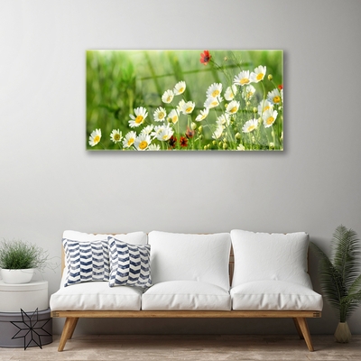 Glass Wall Art Daisy nature yellow white