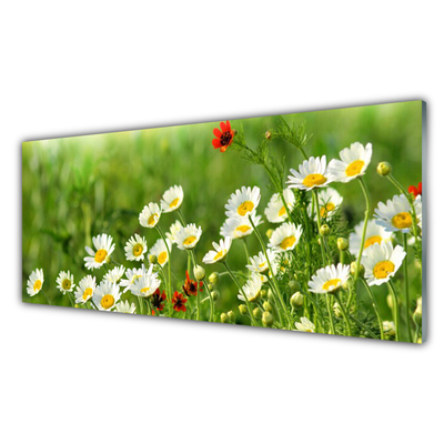 Glass Wall Art Daisy nature yellow white