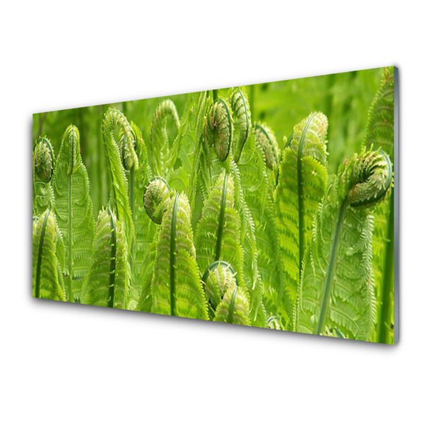 Glass Wall Art Plants floral green