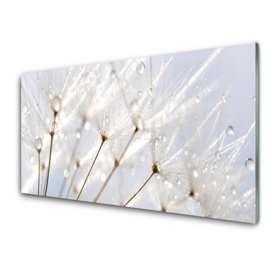 Glass Wall Art Dandelion floral white