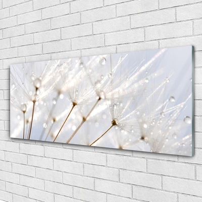 Glass Wall Art Dandelion floral white