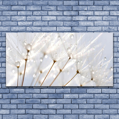 Glass Wall Art Dandelion floral white