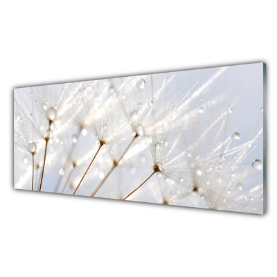 Glass Wall Art Dandelion floral white