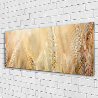 Glass Wall Art Wheat floral brown