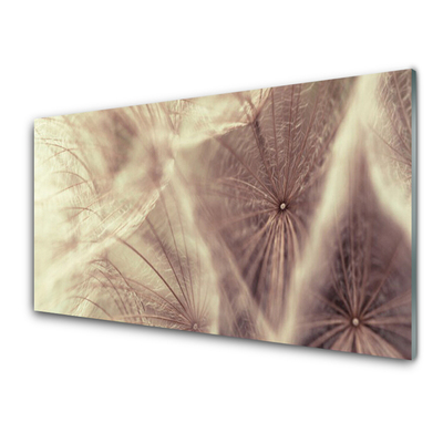 Glass Wall Art Dandelion floral grey