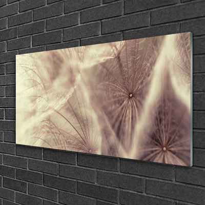 Glass Wall Art Dandelion floral grey