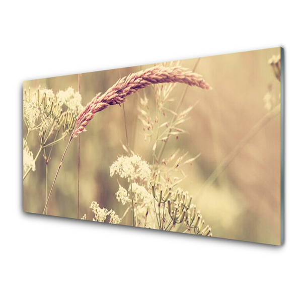 Glass Wall Art Wild plants floral white brown