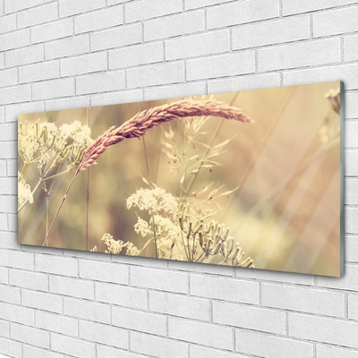 Glass Wall Art Wild plants floral white brown