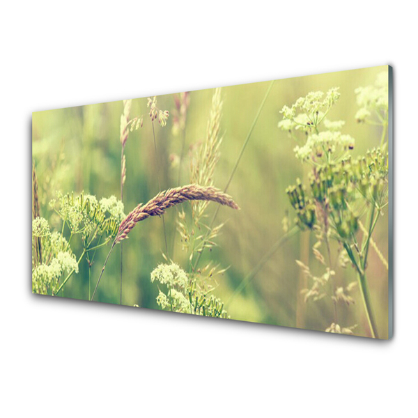 Glass Wall Art Wild plants floral white green brown